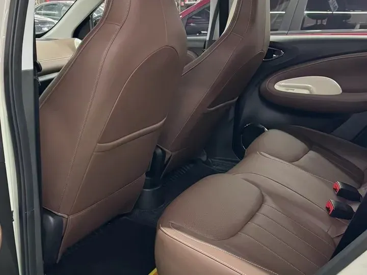 2023 WuLing BinGuo BEV 31.9KWH,autocango,china used car exporter,china ev exporter,chinese used car exporter,chinese used ev exporter