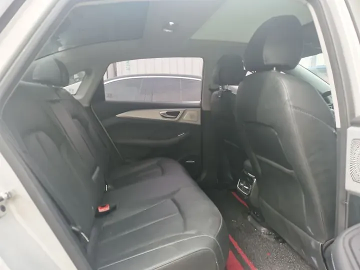 2021 Rising Auto ER6 BEV 69.9KWH,autocango,china used car exporter,china ev exporter,chinese used car exporter,chinese used ev exporter