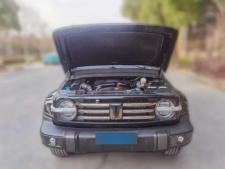 2021 Tank 300 2.0T 227HP L4 8AT,autocango,china used car exporter,china ev exporter,chinese used car exporter,chinese used ev exporter