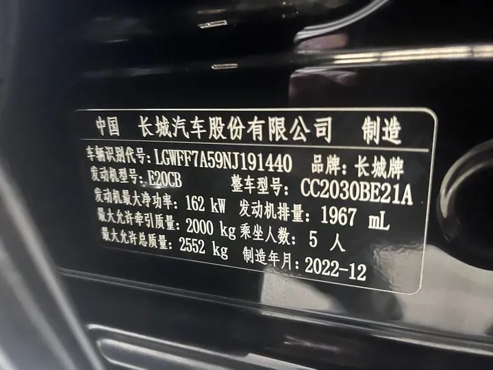 2021 Tank 300 2.0T 227HP L4 8AT,autocango,china used car exporter,china ev exporter,chinese used car exporter,chinese used ev exporter