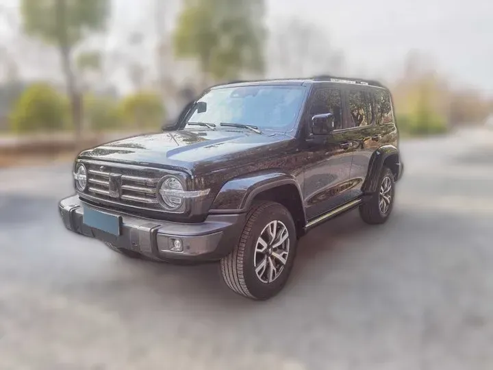 2021 Tank 300 2.0T 227HP L4 8AT,autocango,china used car exporter,china ev exporter,chinese used car exporter,chinese used ev exporter