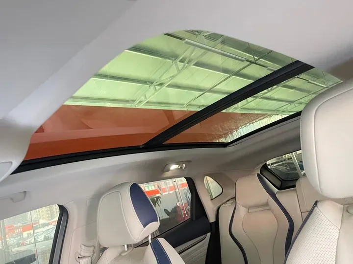 2021 Rising Auto MARVEL R 2AT BEV 69.9KWH,autocango,china used car exporter,china ev exporter,chinese used car exporter,chinese used ev exporter