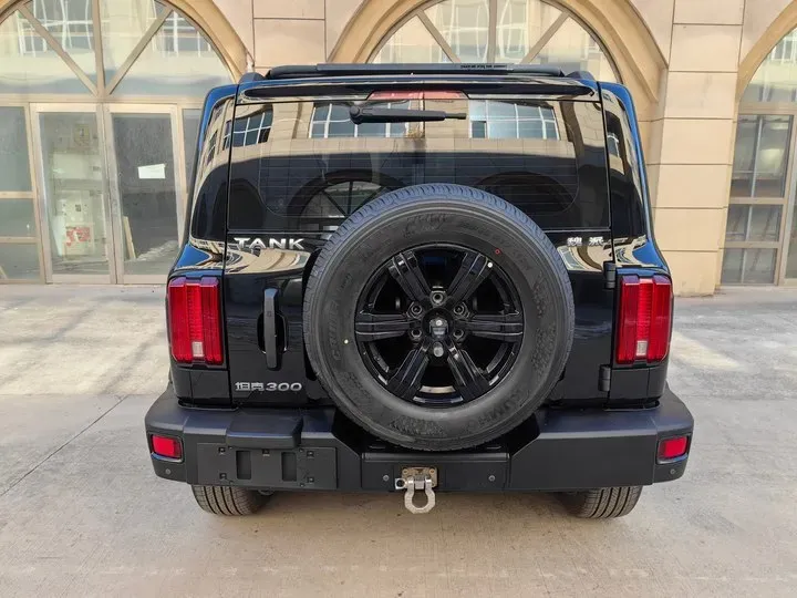 2021 Tank 300 2.0T 227HP L4 8AT,autocango,china used car exporter,china ev exporter,chinese used car exporter,chinese used ev exporter