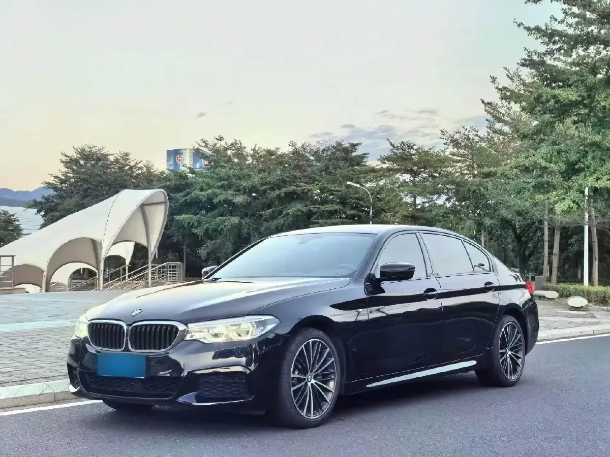 2019 BMW 5 Series 2.0T 252HP L4 8AT