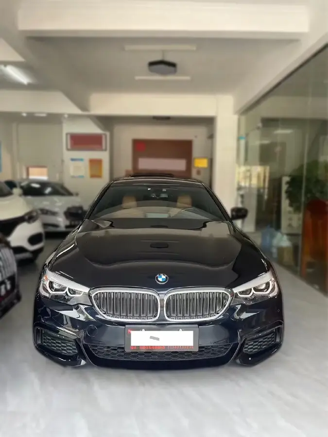 2019 BMW 5 Series 2.0T 252HP L4 8AT