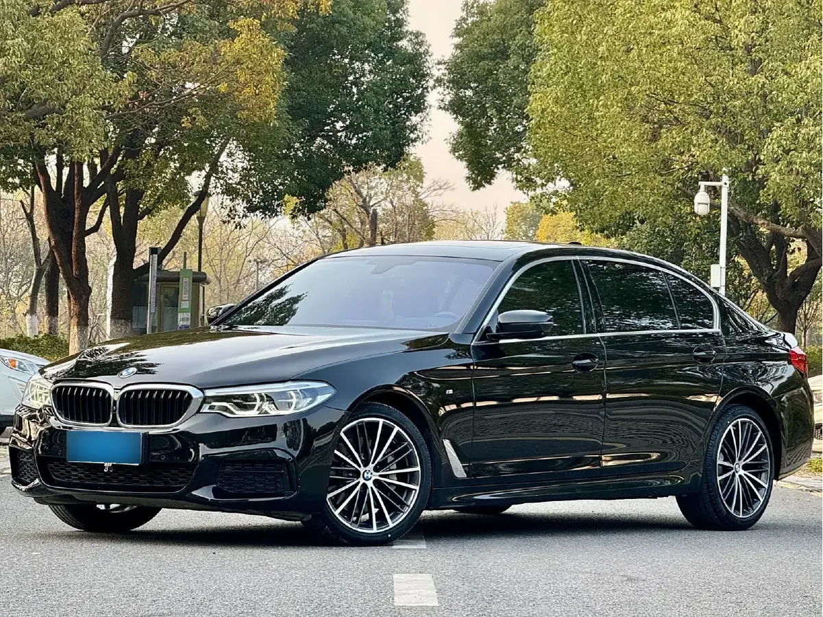 2020 BMW 5 Series 2.0T 252HP L4 8AT