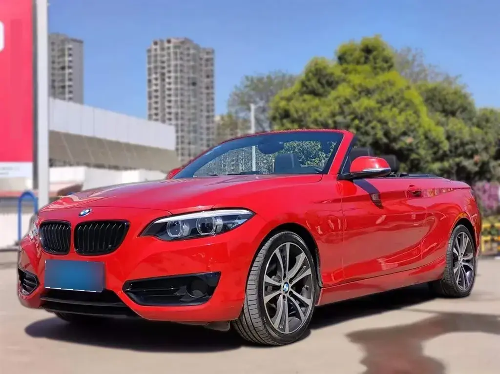2019 BMW 2 Series 2.0T 184HP L4 8AT