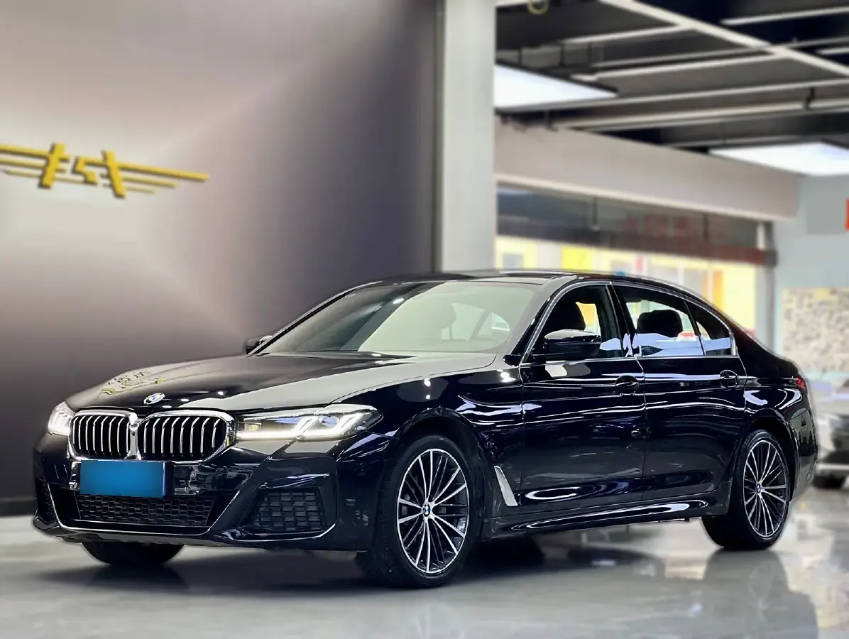 2020 BMW 5 Series 2.0T 252HP L4 8AT