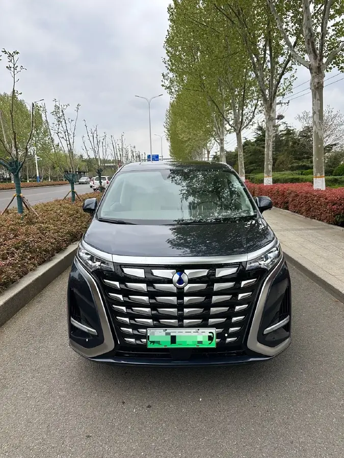 2022 Denza D9 1.5T 139HP L4 E-CVT PHEV 40.06KWH