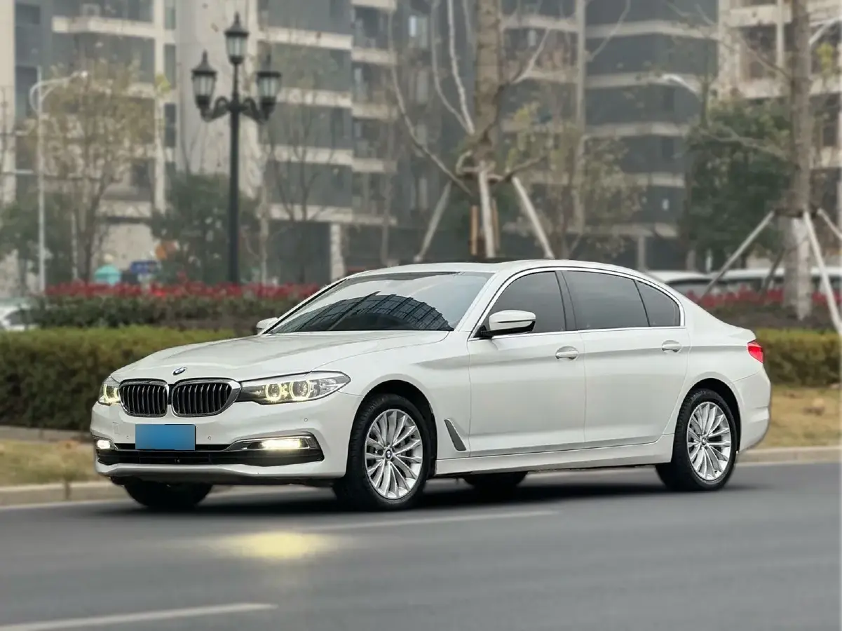 2019 BMW 5 Series 2.0T 252HP L4 8AT