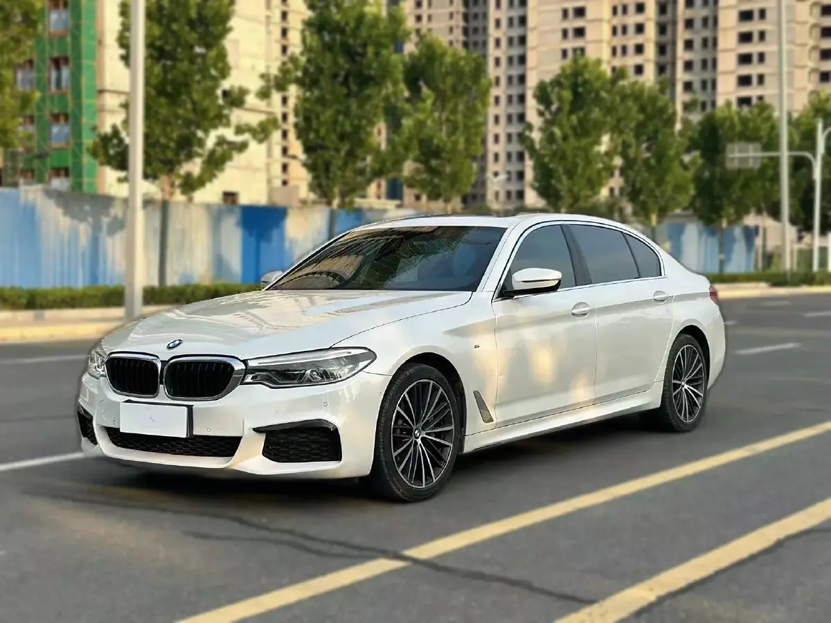 2020 BMW 5 Series 2.0T 252HP L4 8AT