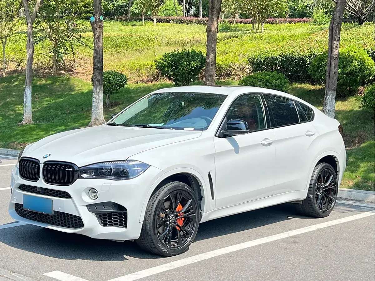 2017 BMW X6 3.0T 306HP L6 8AT