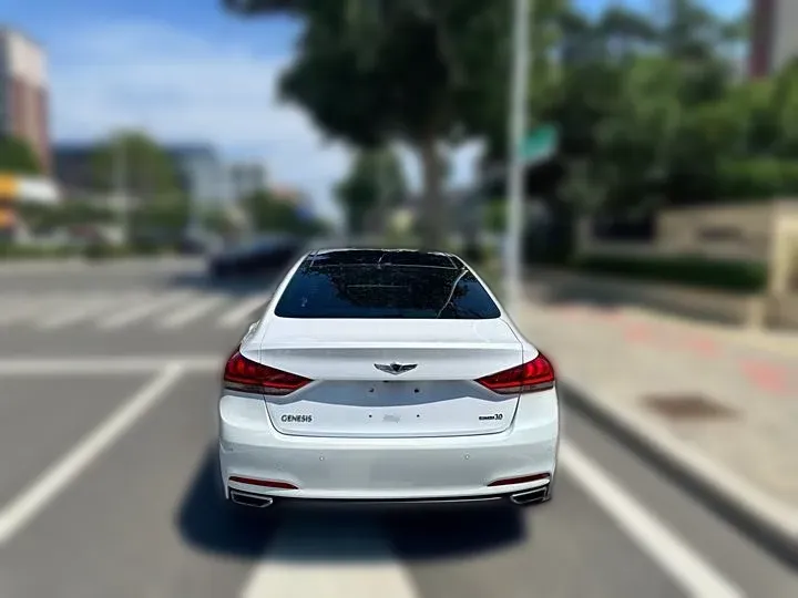 2015 Hyundai Cenesis 3.0L 257HP V6 8AT,autocango,china used car exporter,china ev exporter,chinese used car exporter,chinese used ev exporter