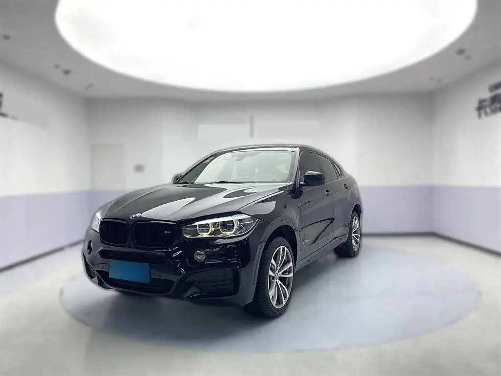 2019 BMW X6 2.0T 245HP L4 8AT