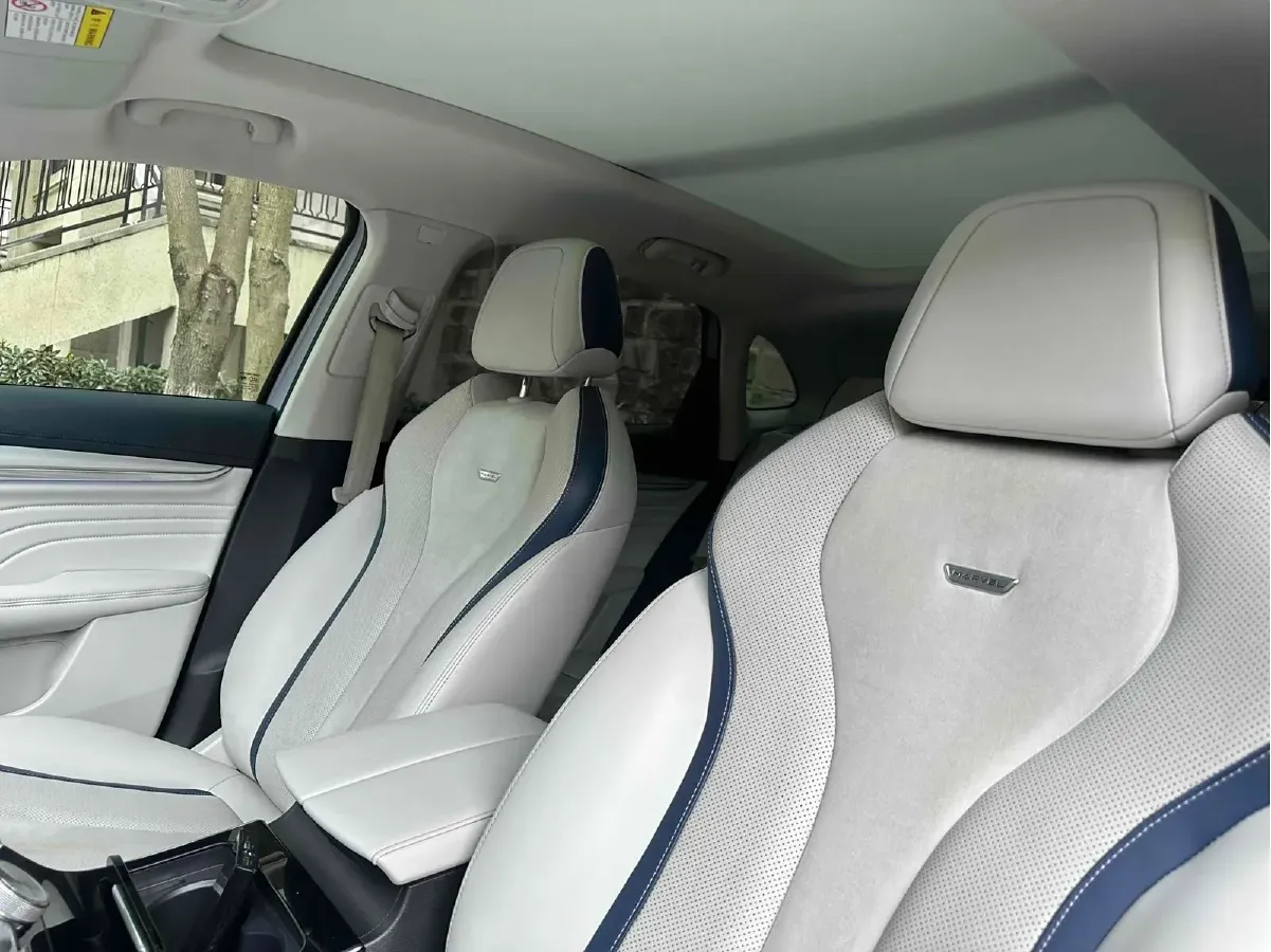 2021 Rising Auto MARVEL R 2AT BEV 69.9KWH,autocango,china used car exporter,china ev exporter,chinese used car exporter,chinese used ev exporter