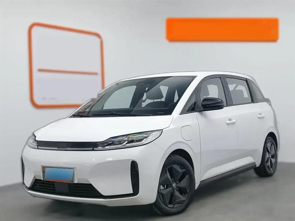 2022 BYD D1 BEV 53.6KWH