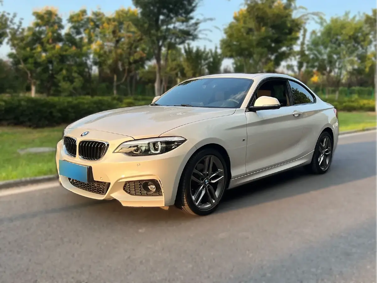 2018 BMW 2 Series 2.0T 184HP L4 8AT