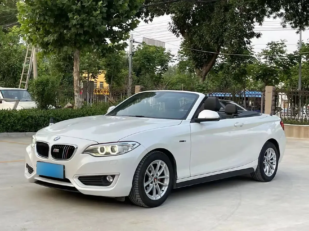 2015 BMW 2 Series 1.5T 136HP L3 8AT
