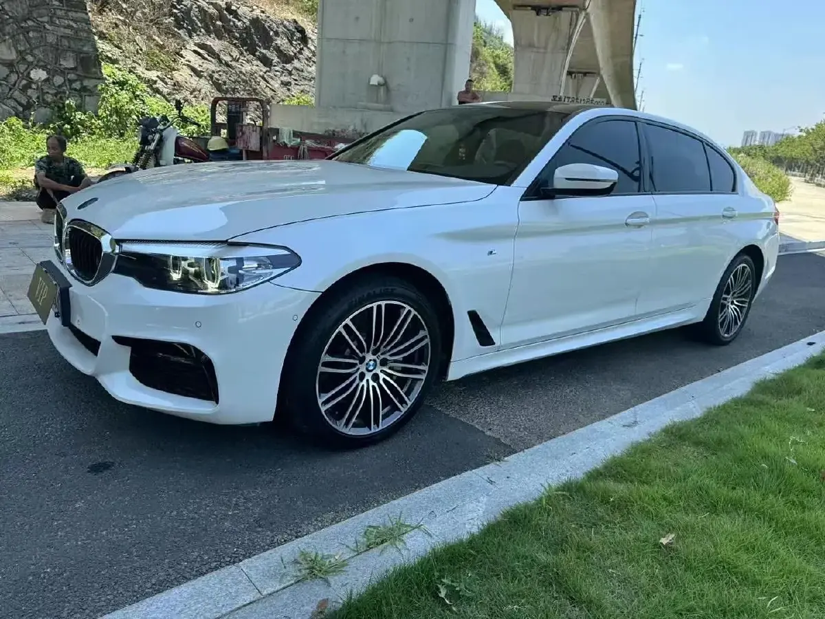 2019 BMW 5 Series 2.0T 252HP L4 8AT