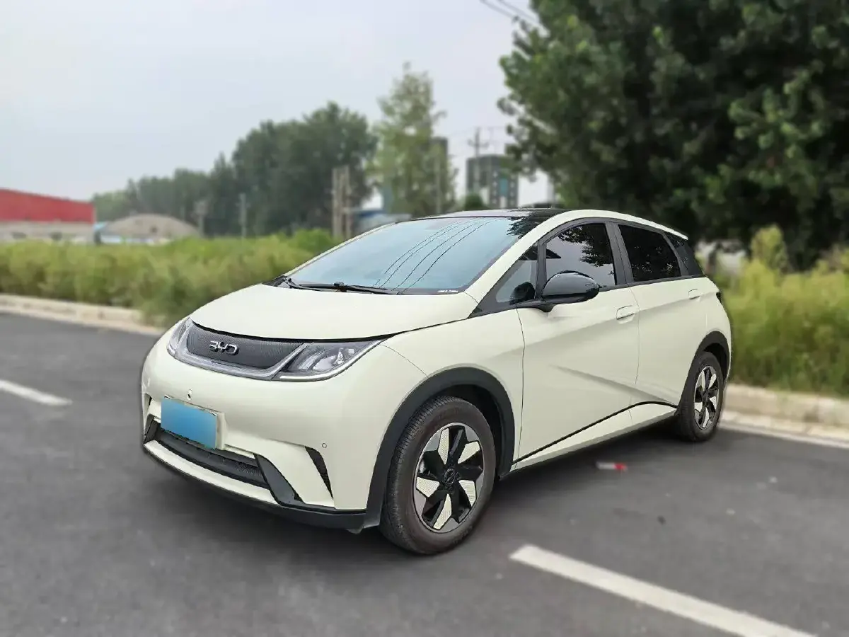 2024 BYD Dolphin BEV 44.928KWH