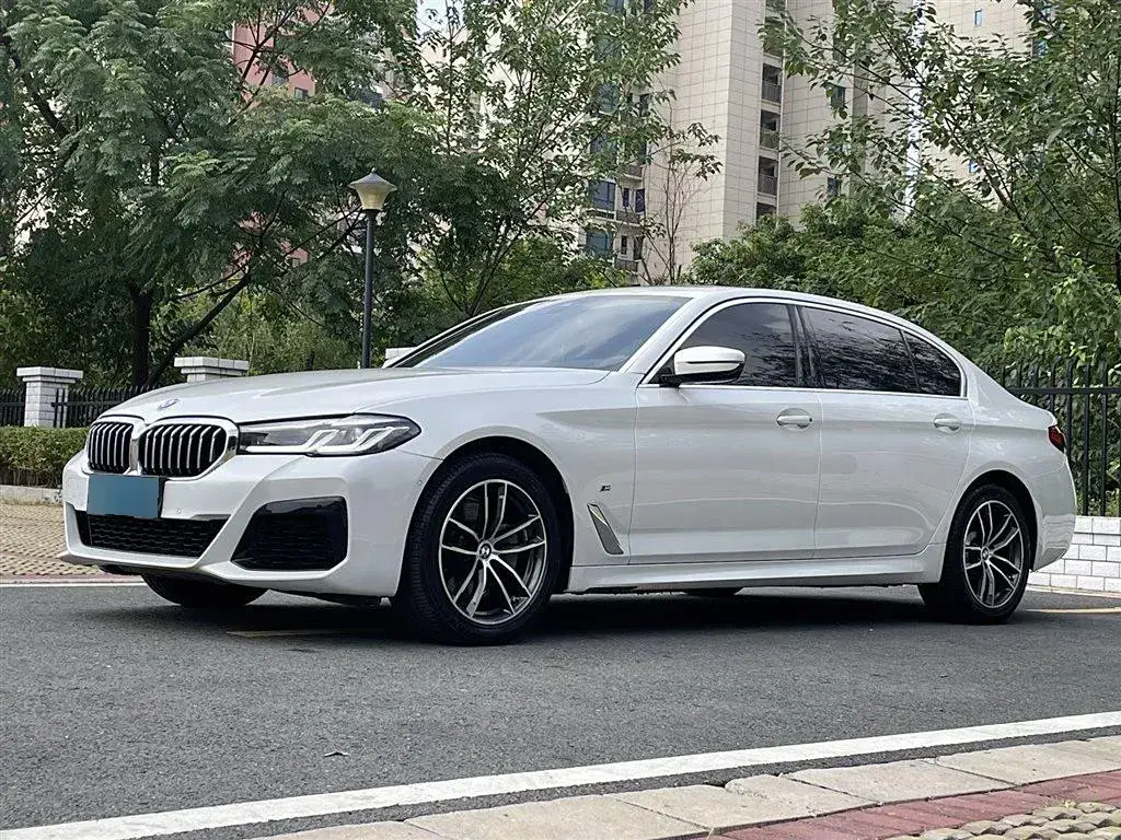 2021 BMW 5 Series 2.0T 184HP L4 8AT