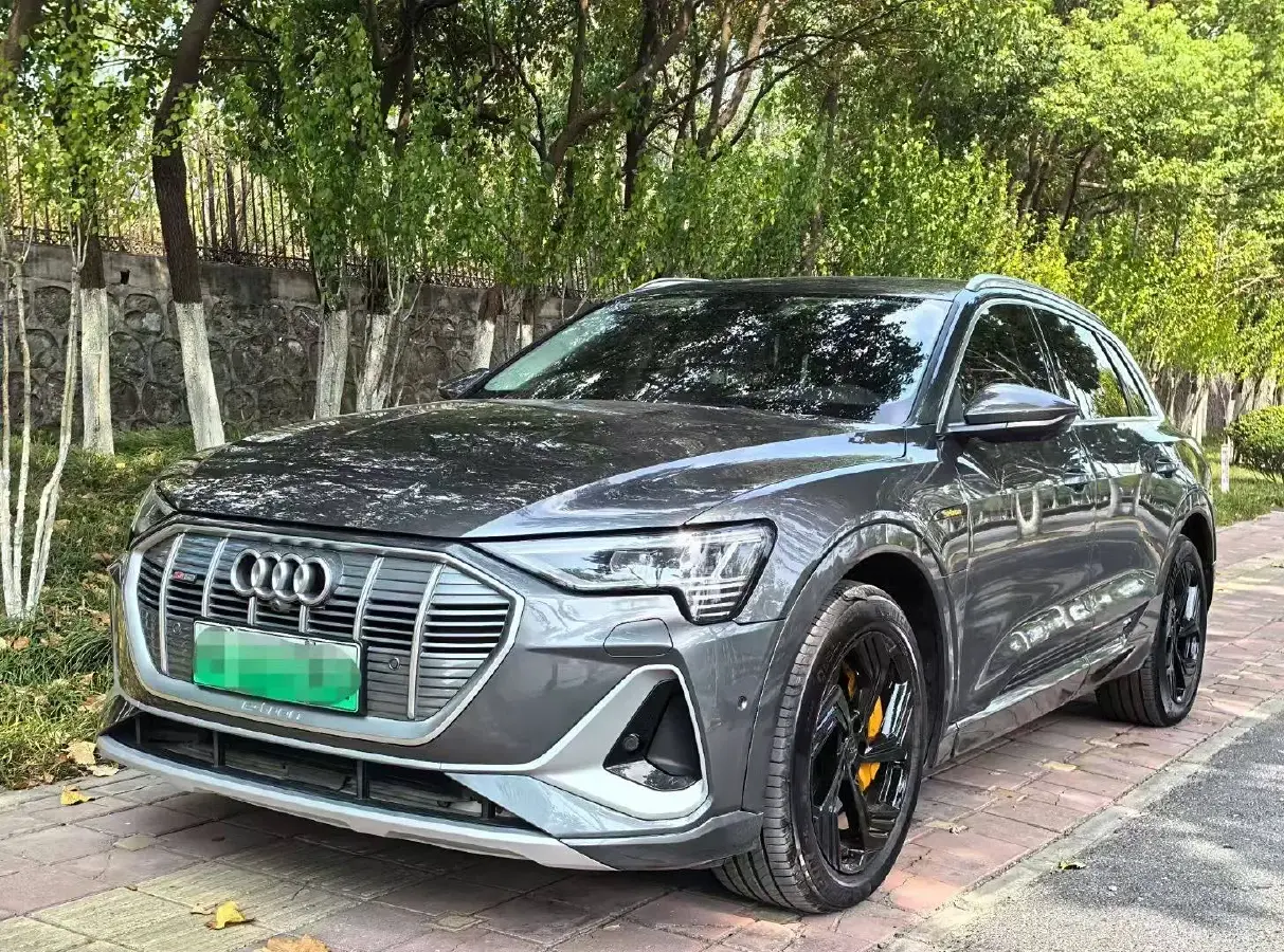 2021 Audi e-tron BEV 96.7KWH