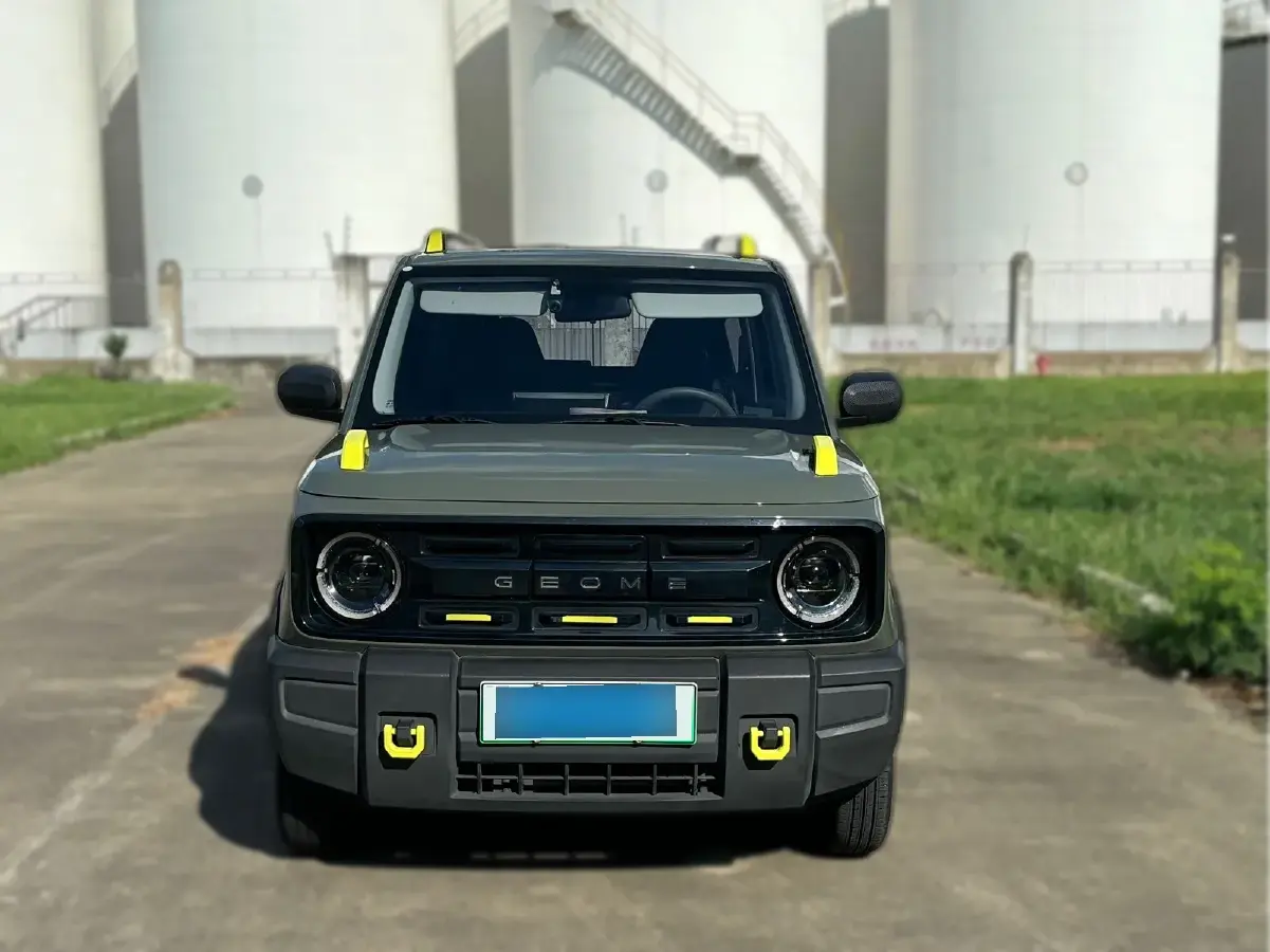 2024 Geely Panda BEV 17.03KWH