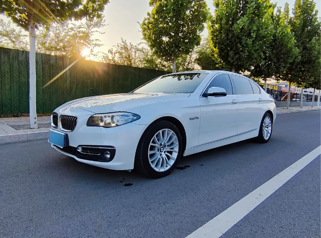 2014 BMW 5 Series 2.0T 218HP L4 8AT