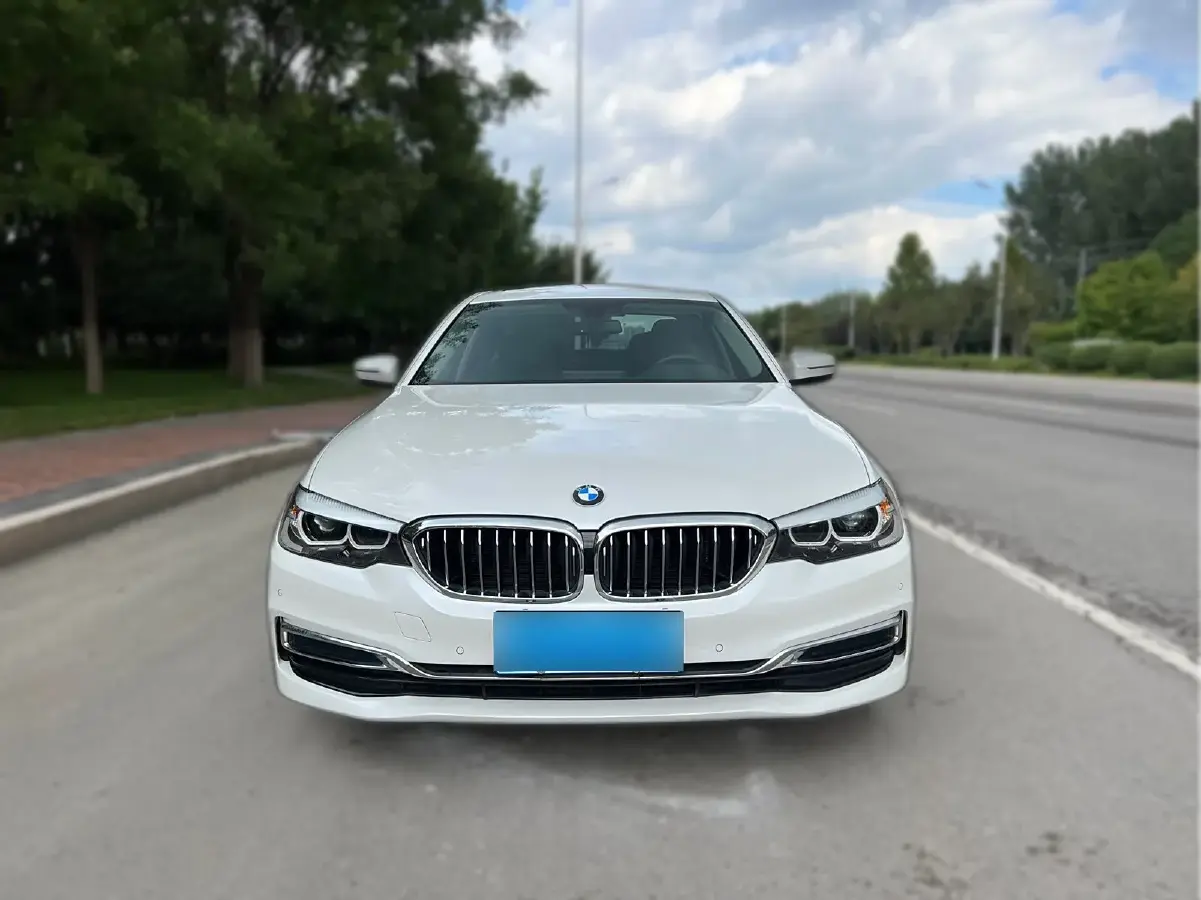 2019 BMW 5 Series 2.0T 252HP L4 8AT