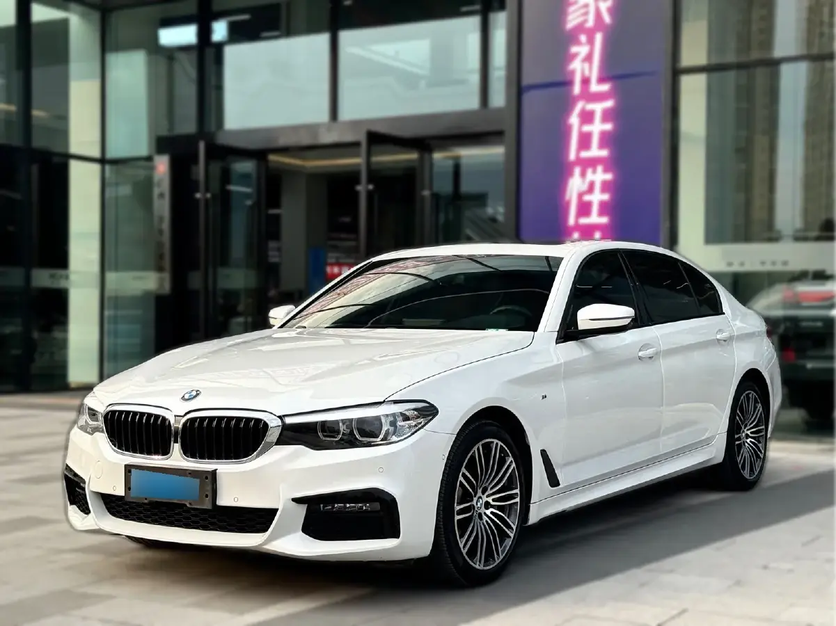 2019 BMW 5 Series 2.0T 252HP L4 8AT