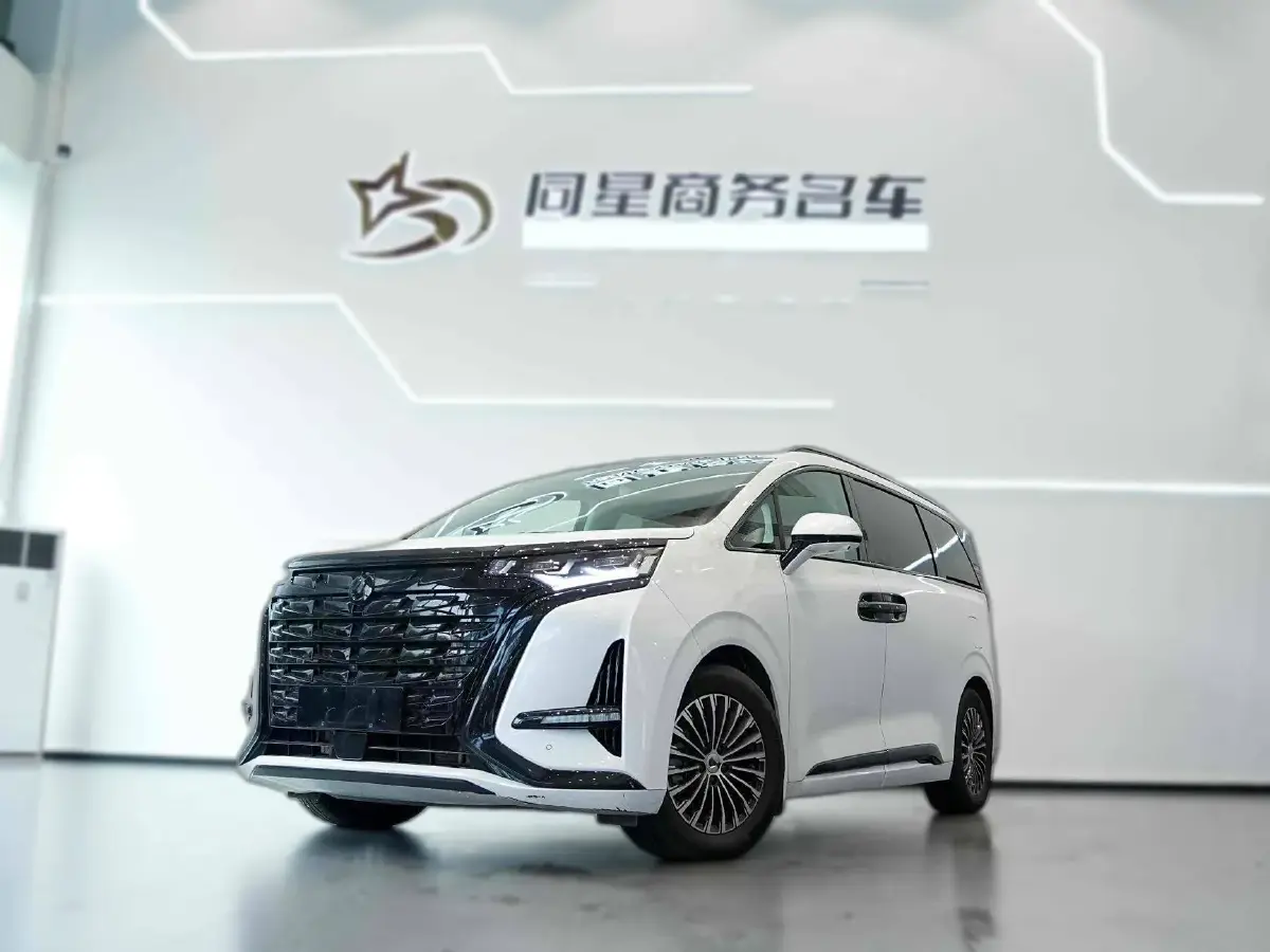 2022 Denza D9 1.5T 139HP L4 E-CVT PHEV 40.06KWH