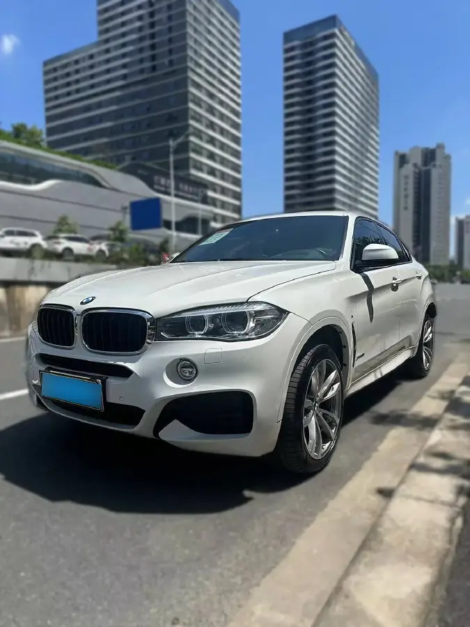 2019 BMW X6 2.0T 245HP L4 8AT