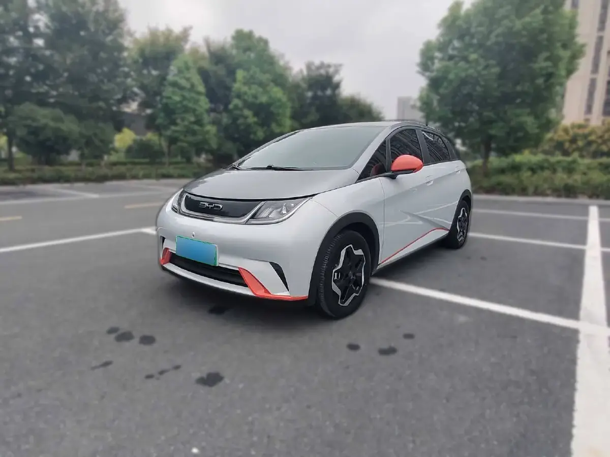 2021 BYD Dolphin BEV 44.9KWH