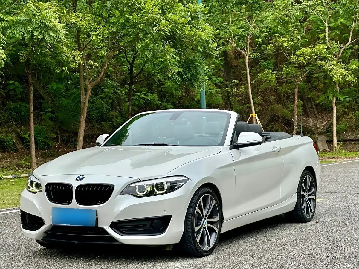 2019 BMW 2 Series 2.0T 184HP L4 8AT