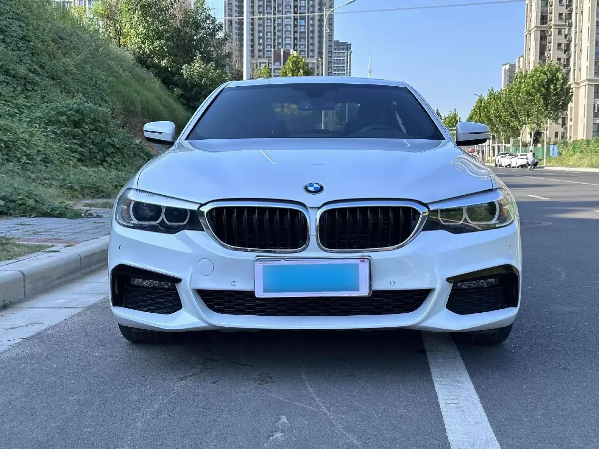 2019 BMW 5 Series 2.0T 184HP L4 8AT
