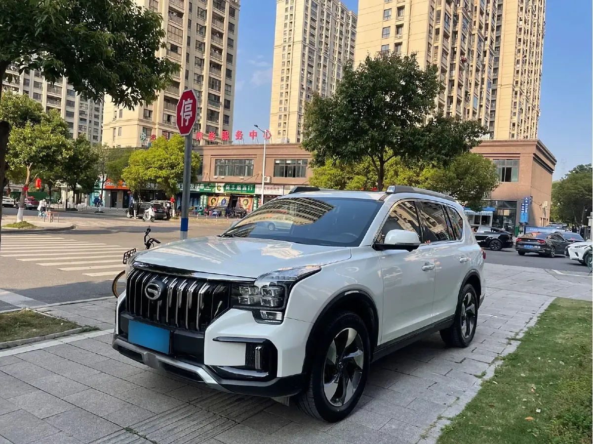 2020 GAC Trumpchi GS8 2.0T 252HP L4 6AT