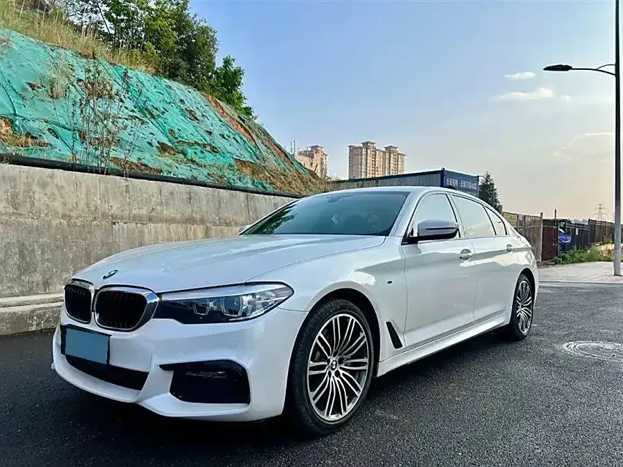 2019 BMW 5 Series 2.0T 252HP L4 8AT