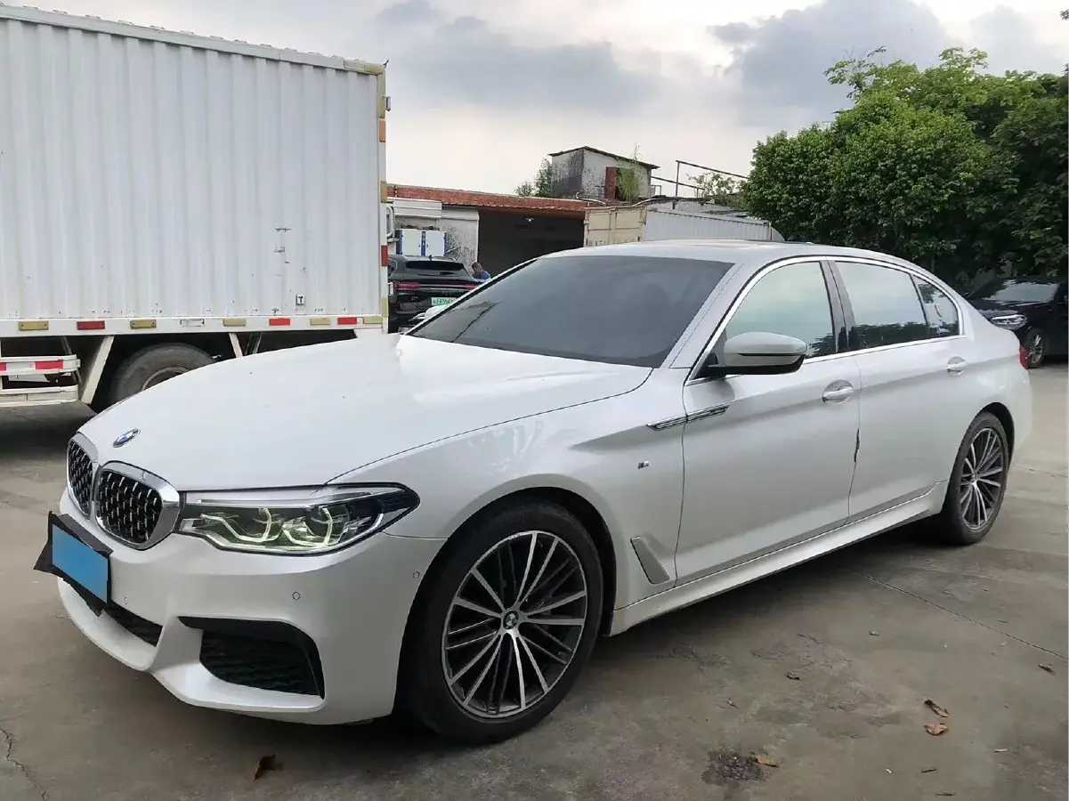 2020 BMW 5 Series 2.0T 252HP L4 8AT
