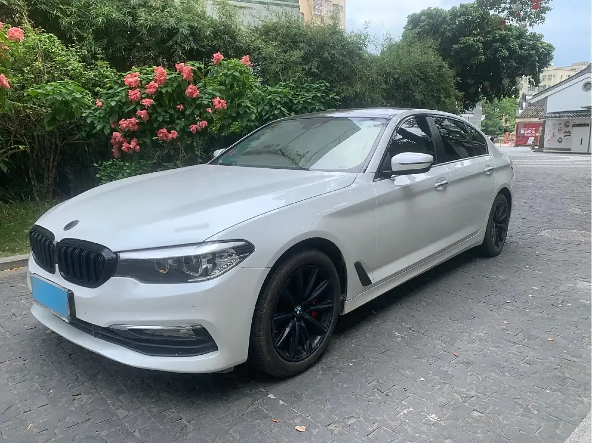 2018 BMW 5 Series 2.0T 224HP L4 8AT