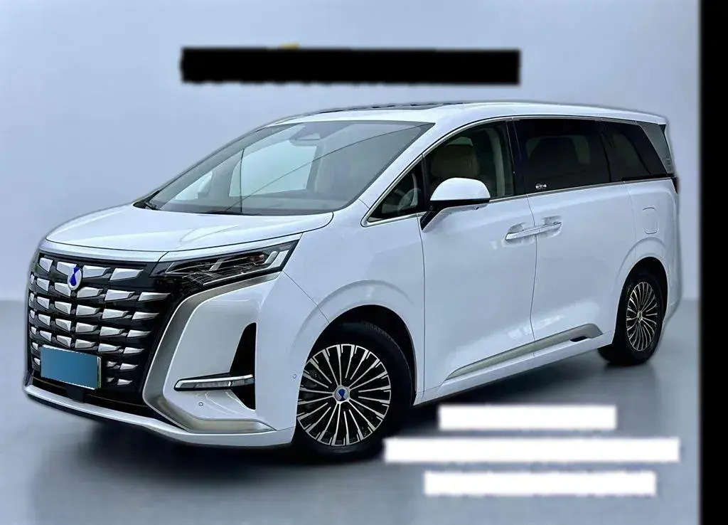 2022 Denza D9 1.5T 139HP L4 E-CVT PHEV 40.06KWH