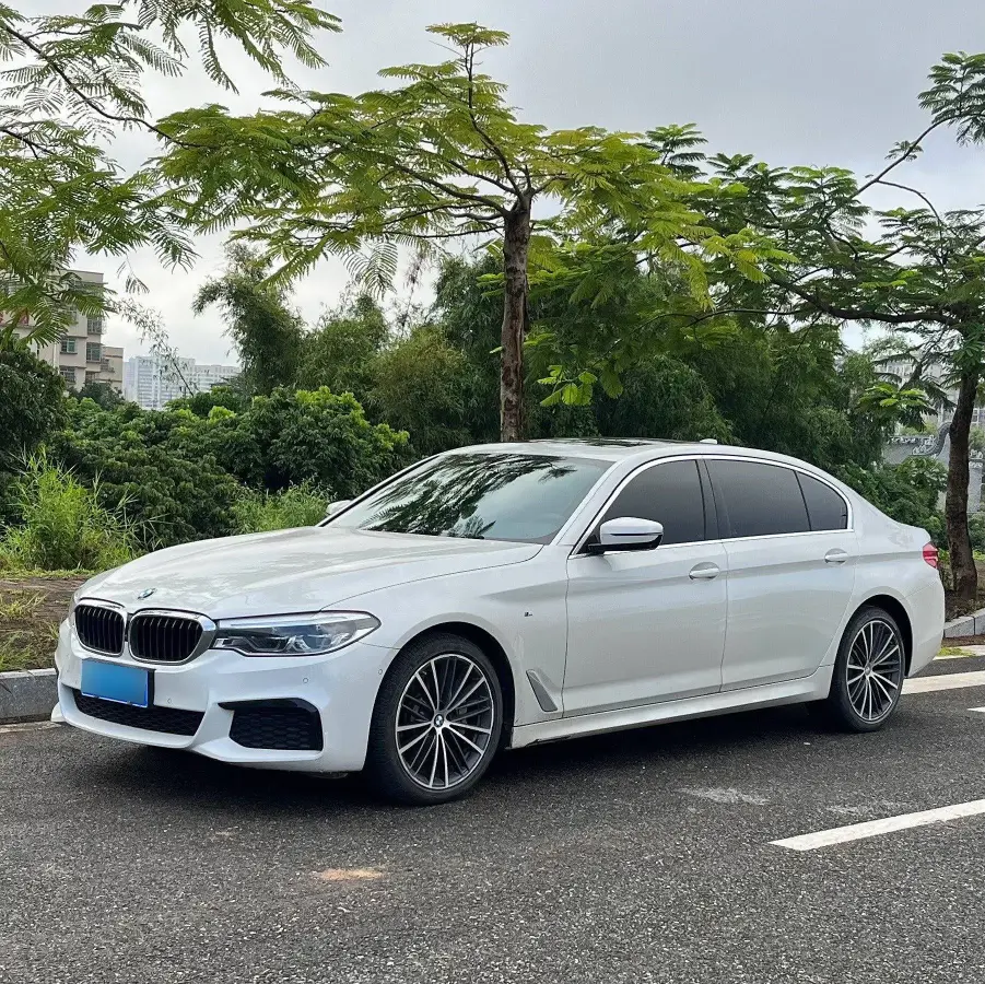 2020 BMW 5 Series 2.0T 252HP L4 8AT