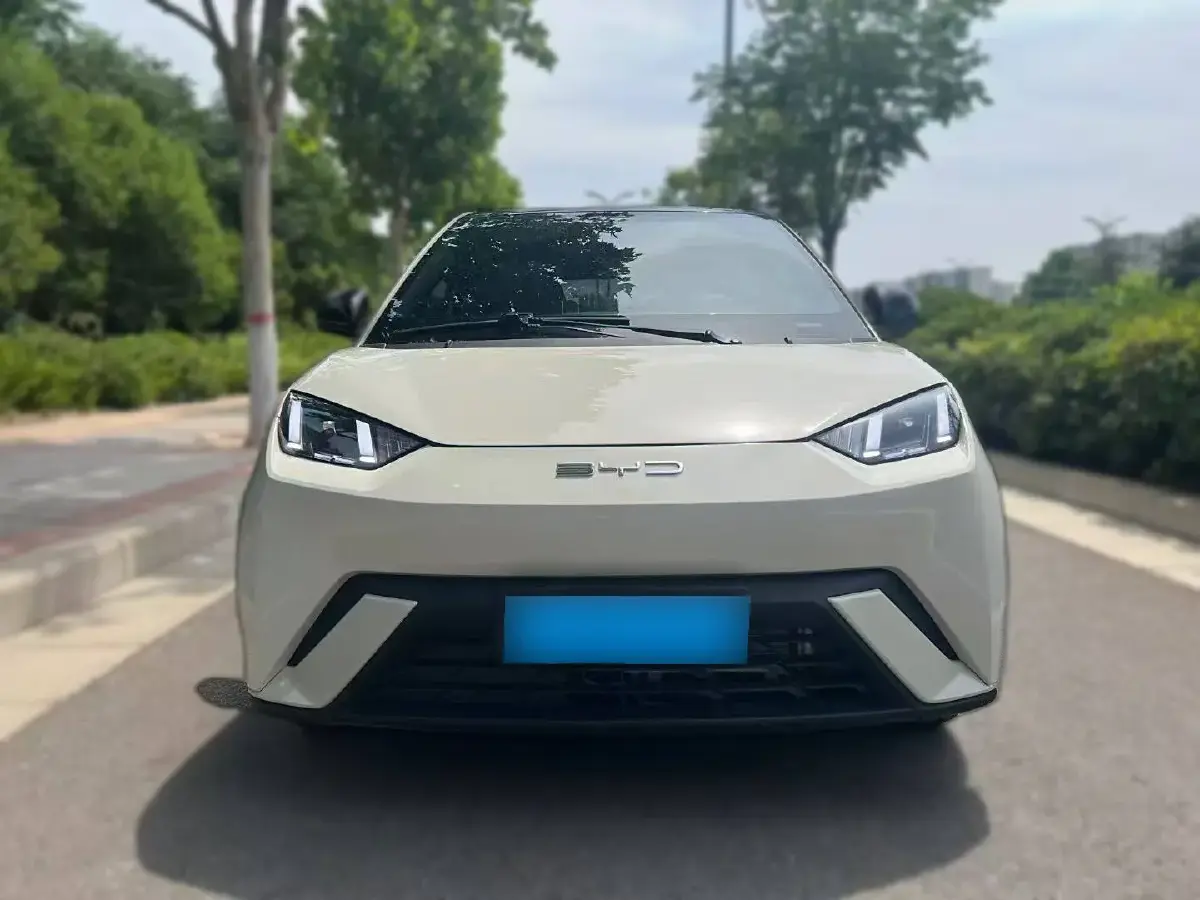 2024 BYD Seagull BEV 30.08KWH