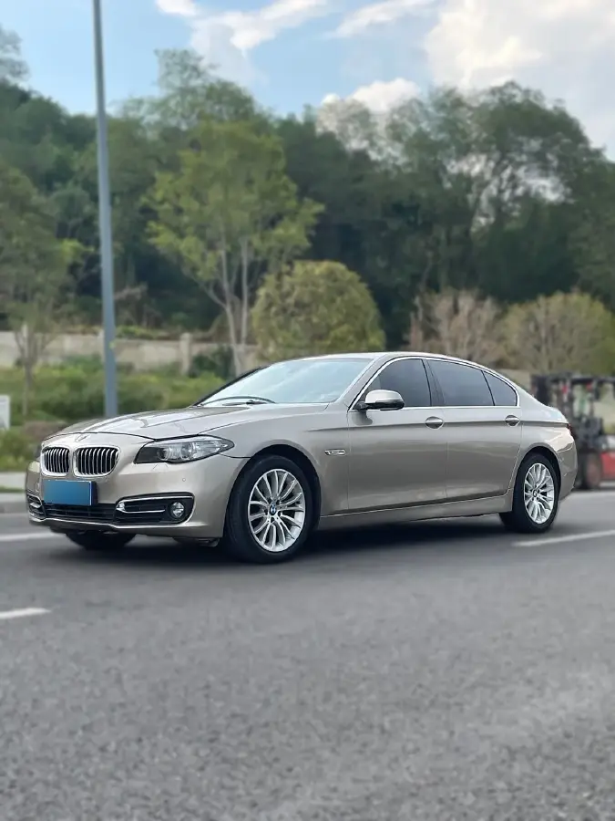 2014 BMW 5 Series 2.0T 218HP L4 8AT