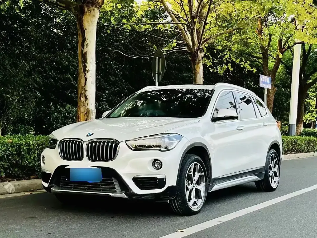 2018 BMW X1 1.5T 136HP L3 6AT