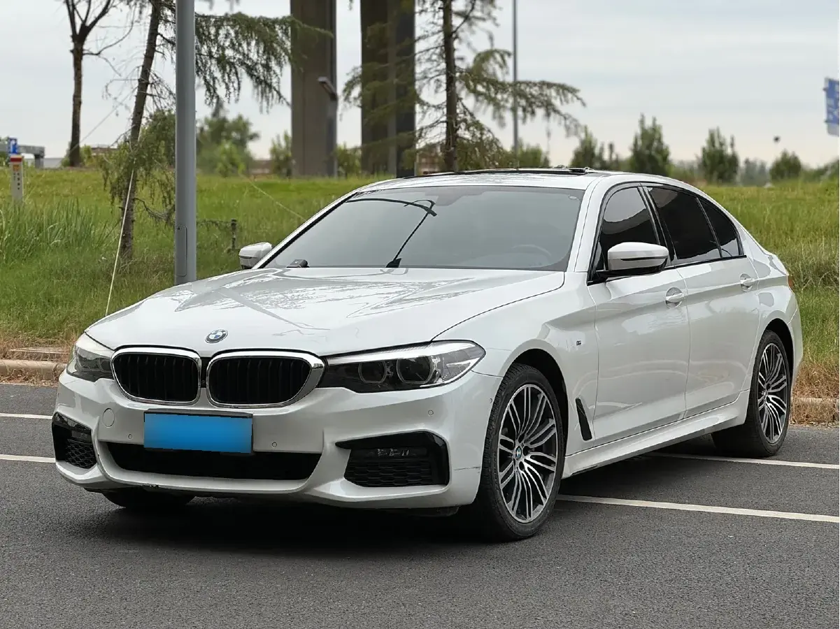 2019 BMW 5 Series 2.0T 252HP L4 8AT