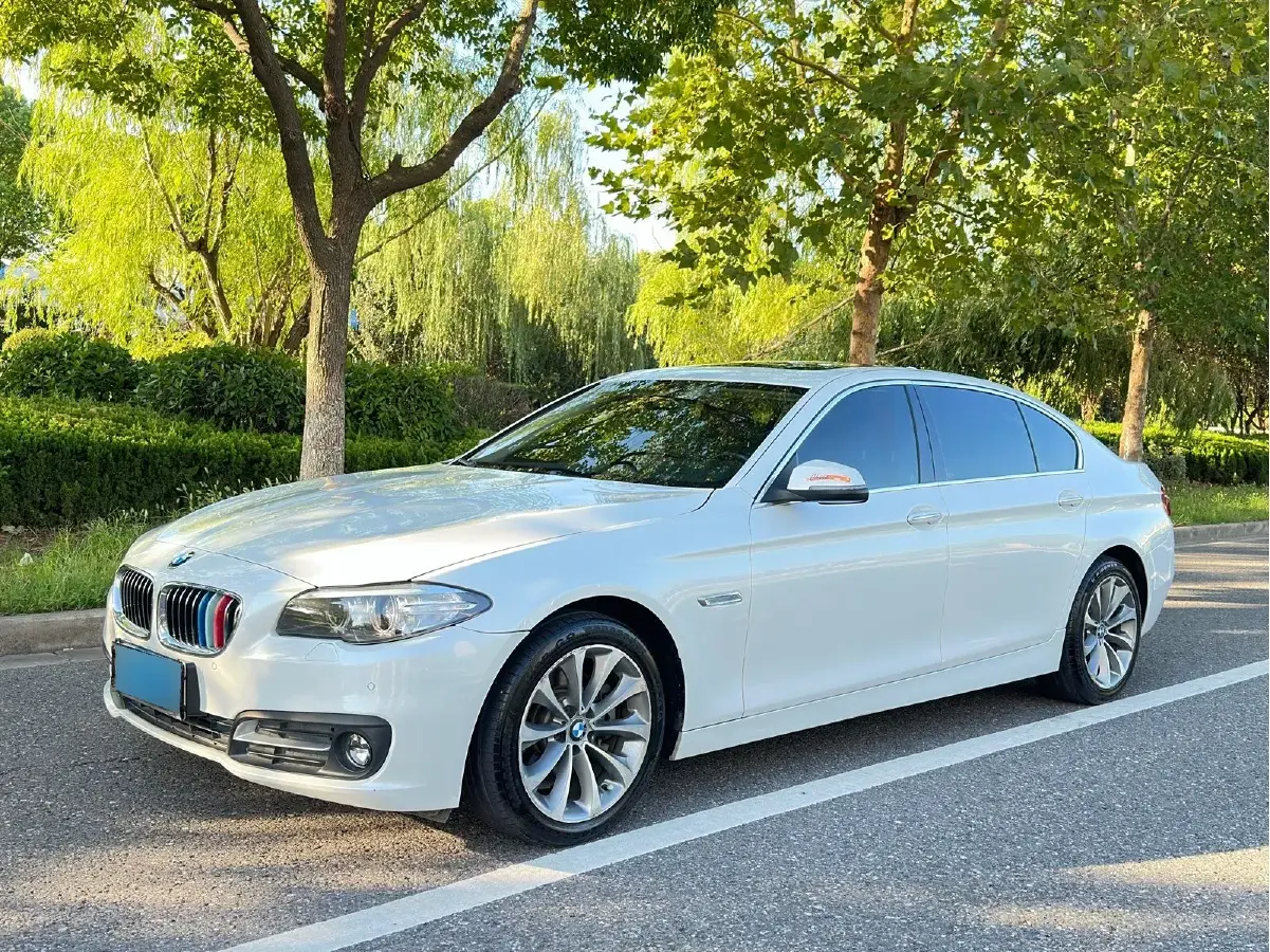 2017 BMW 5 Series 2.0T 218HP L4 8AT