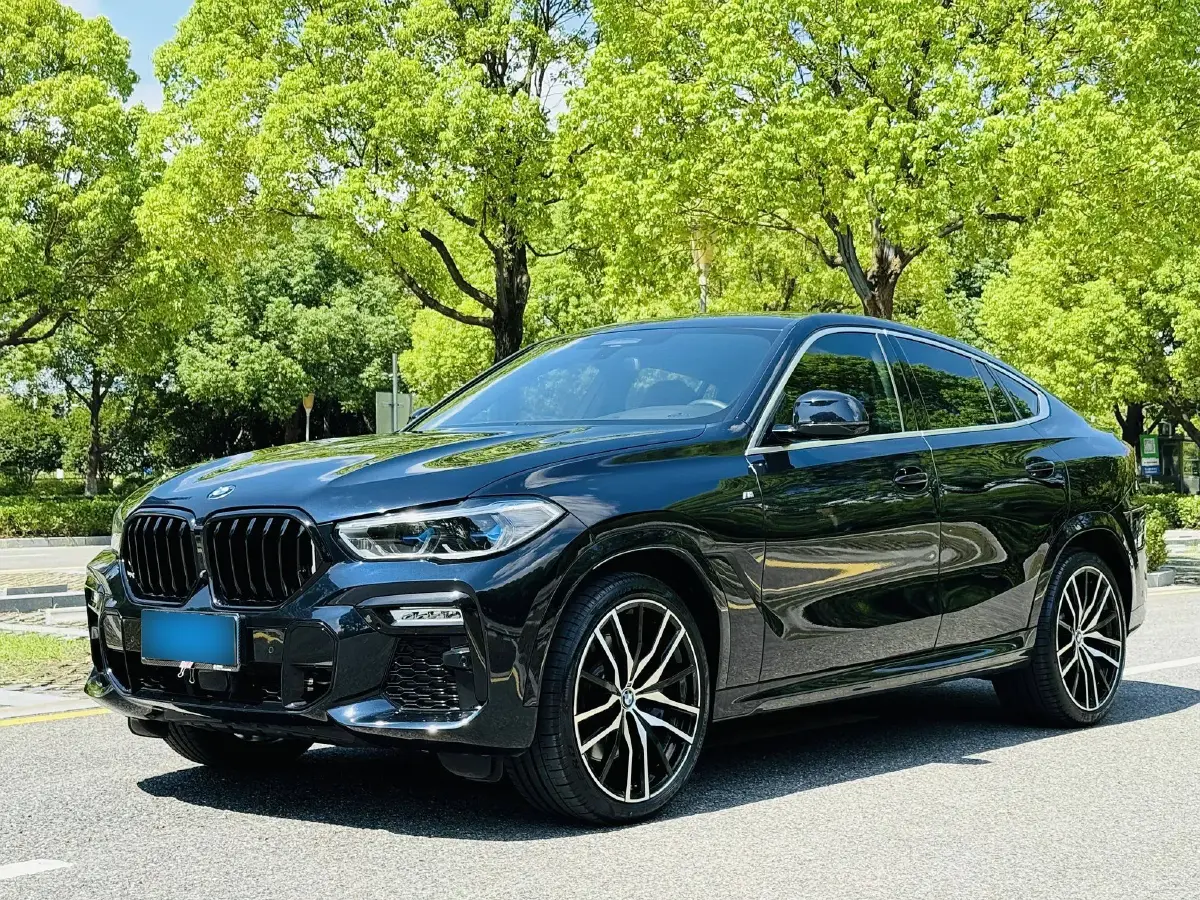 2020 BMW X6 3.0T 340HP L6 8AT