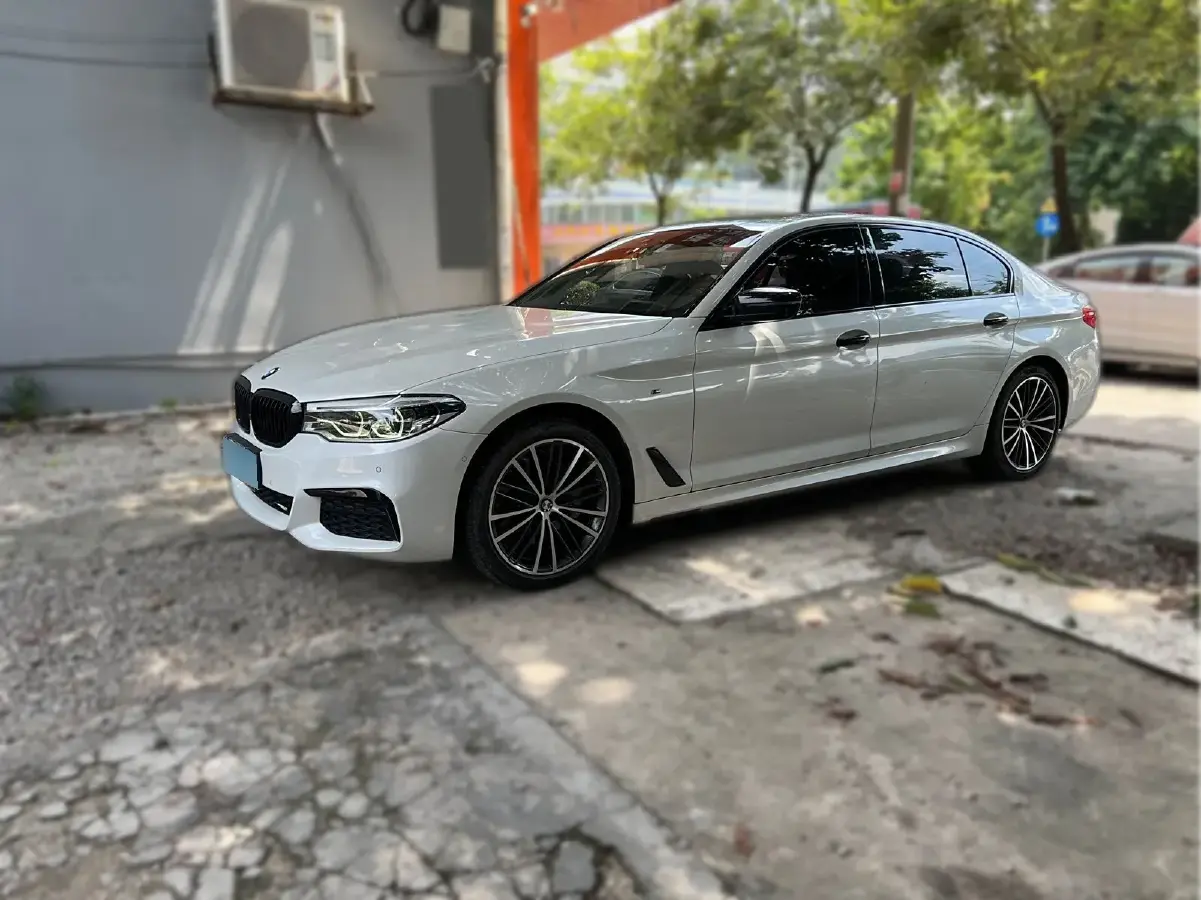 2020 BMW 5 Series 2.0T 252HP L4 8AT