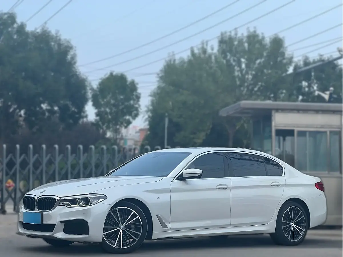 2020 BMW 5 Series 2.0T 252HP L4 8AT