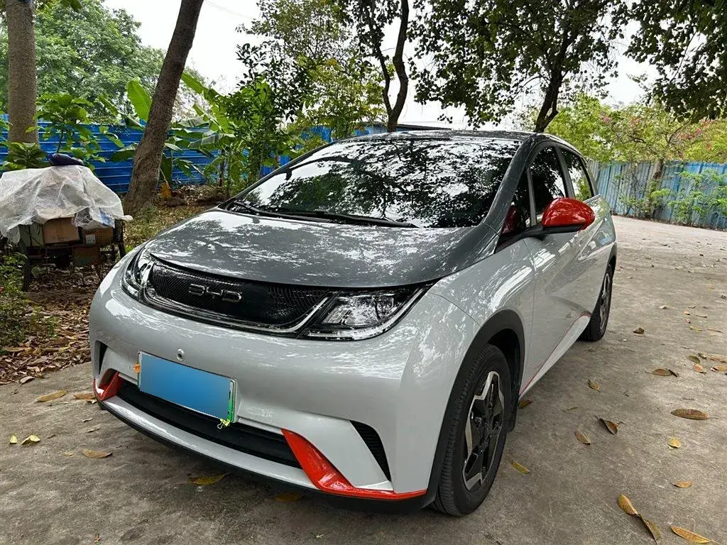 2021 BYD Dolphin BEV 44.9KWH